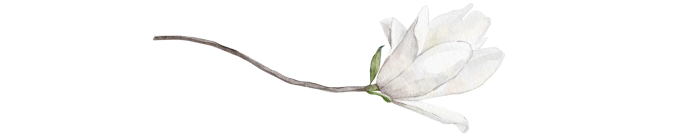 flor